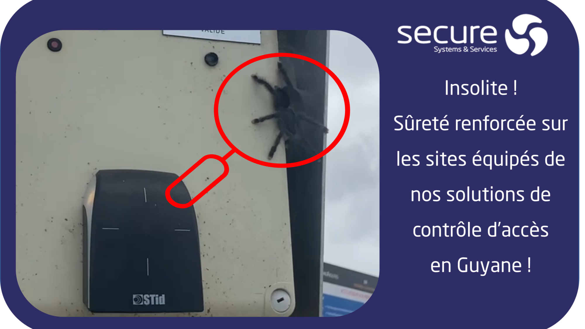 Post12mai